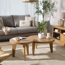 Amaia Ensemble de 2 tables basses en bois massif de manguier