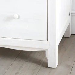Delhi Commode