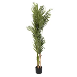 Hadas Plante de matériau synthétique