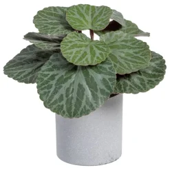 Lampe Plante en polyéthylène et fer