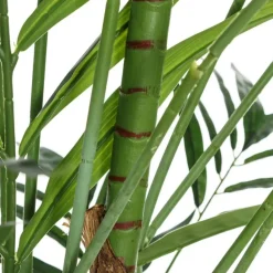 Nidur Plante bambou vert pvc