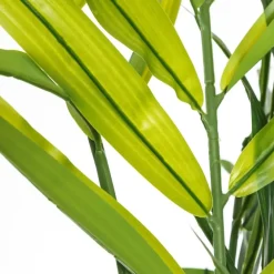 Nidur Plante bambou vert pvc